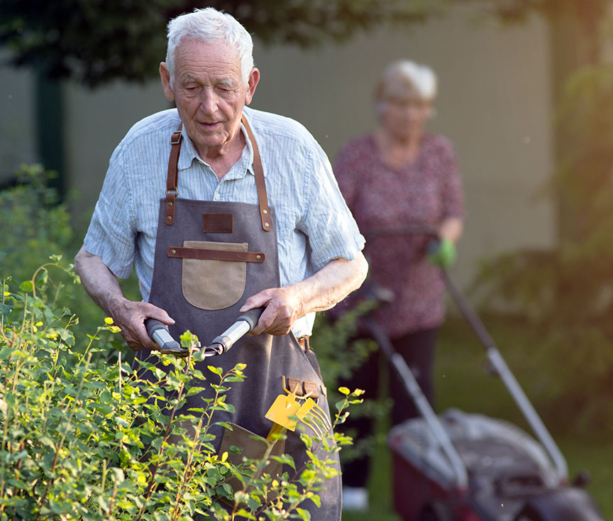 Senior man working in garden, trimming hedge with scissors while woman mowing lawn in background